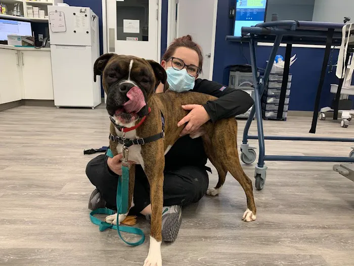 Urgent VET Care 5