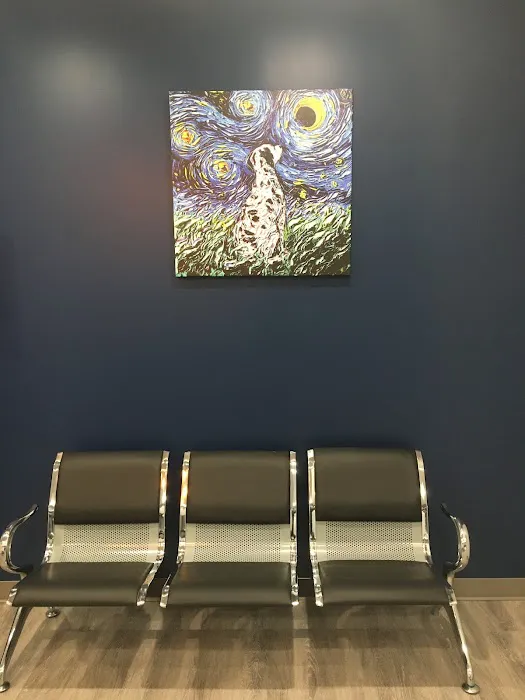 Urgent VET Care 3