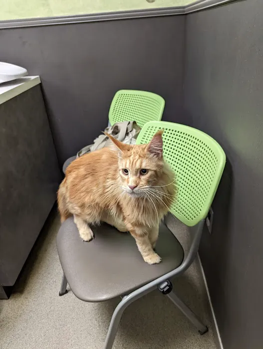 Hunt Valley Animal Hospital 12