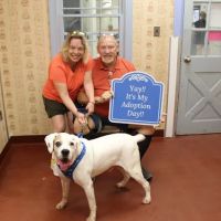 Hunt Valley Animal Hospital ico
