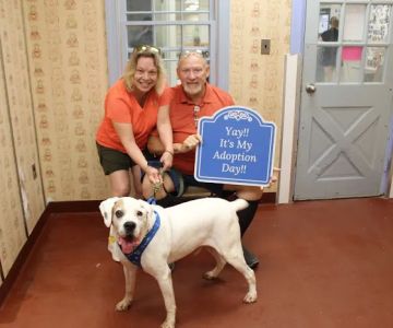 Hunt Valley Animal Hospital