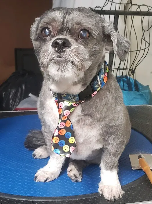Hunt Valley Animal Hospital 12