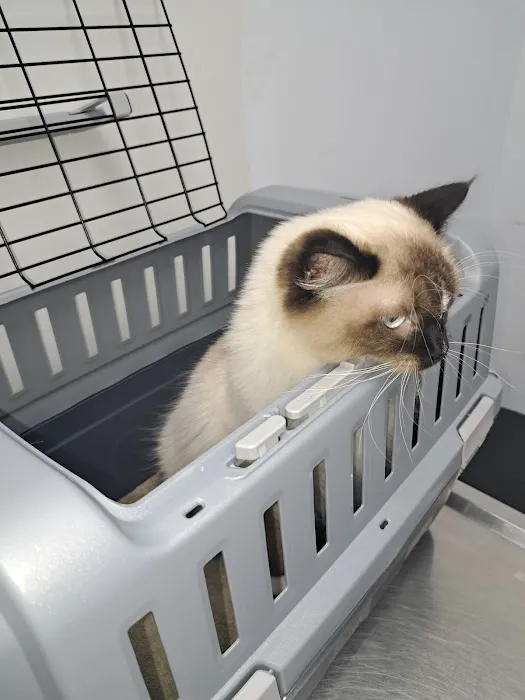 PERRING ANIMAL HOSPITAL 5