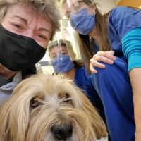 Veterinary Clinical Trials Network ico