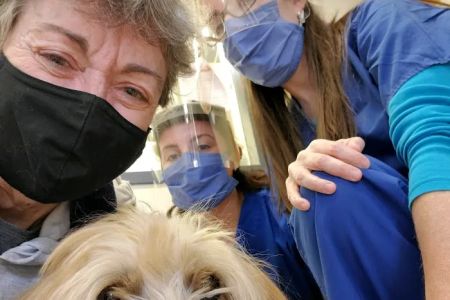 Veterinary Clinical Trials Network