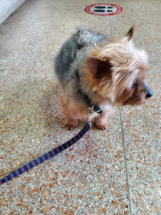 Erdman Animal Hospital 7