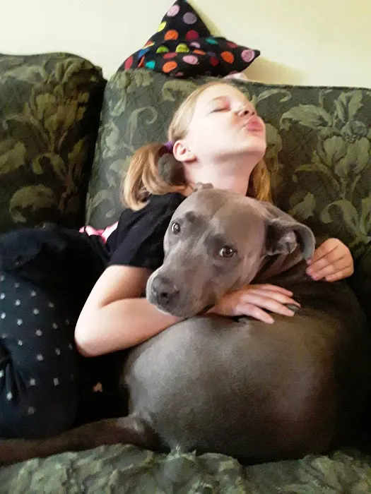 Erdman Animal Hospital 1