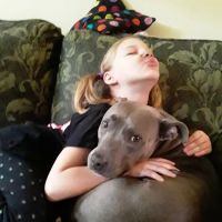 Erdman Animal Hospital ico