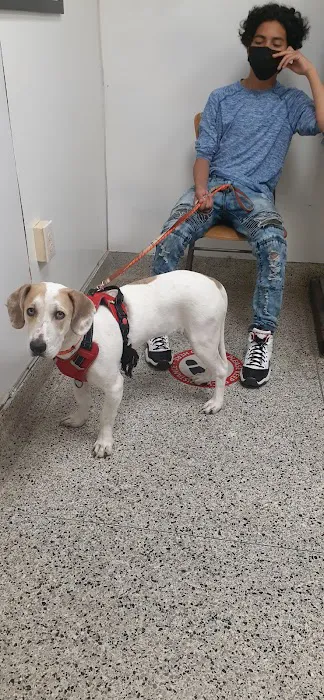 Erdman Animal Hospital 3