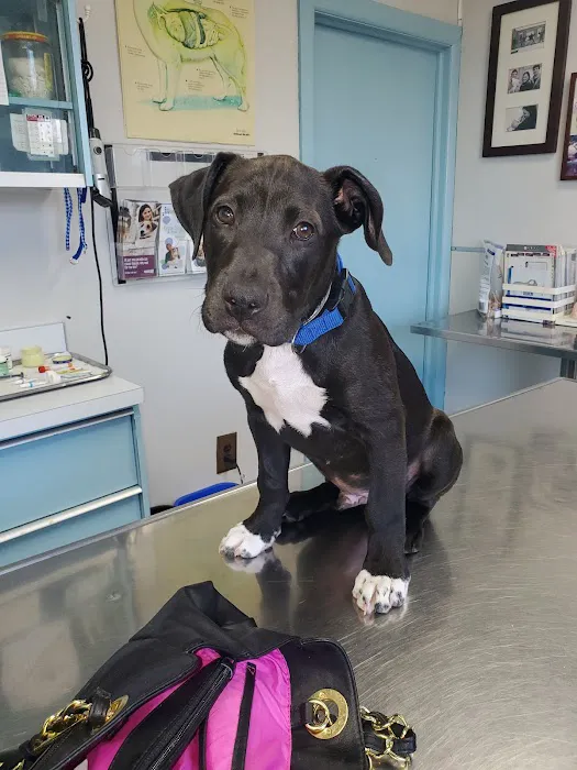 Erdman Animal Hospital 10
