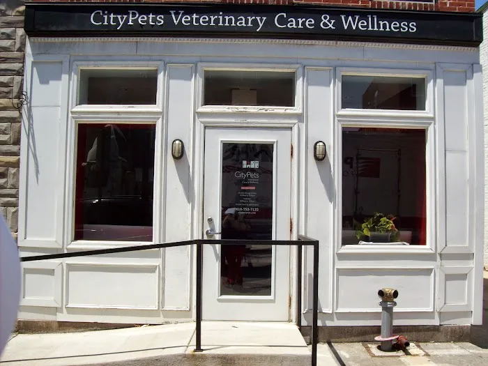 CityPets Veterinary Care & Wellness 12