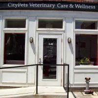 CityPets Veterinary Care & Wellness ico