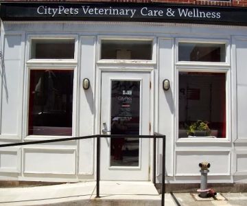 CityPets Veterinary Care & Wellness