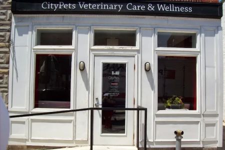 CityPets Veterinary Care & Wellness