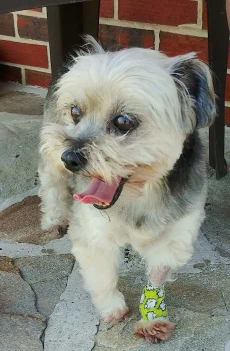 Petwell Veterinary Center 12