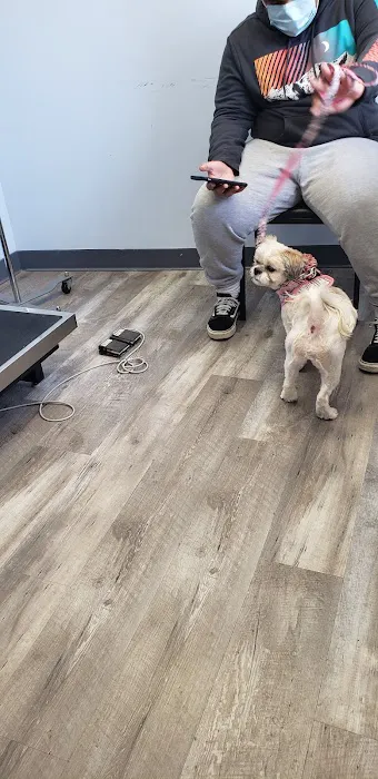 Petwell Veterinary Center 12
