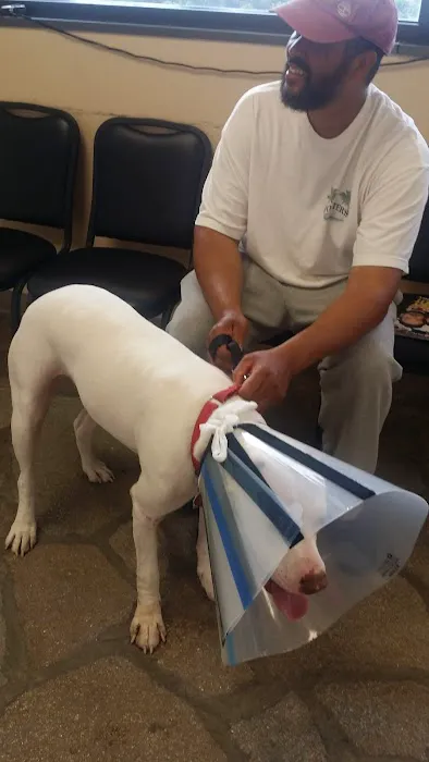 Petwell Veterinary Center 12