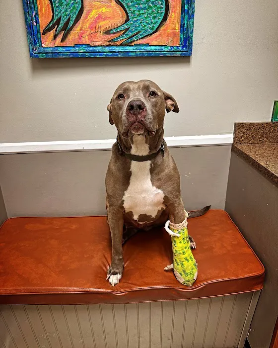 Parkville Animal Hospital 12