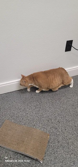Carney Animal Hospital 3