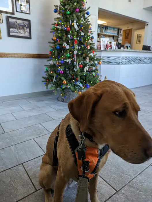 Carney Animal Hospital 2