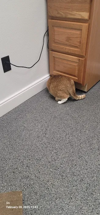 Carney Animal Hospital 5
