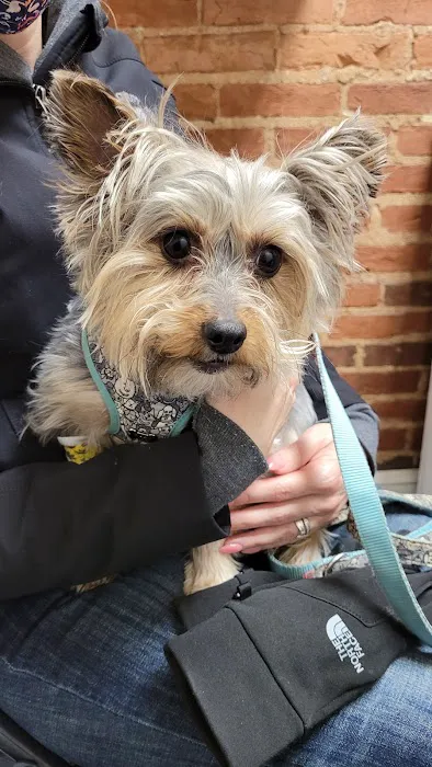 Doc·Side Veterinary Medical Center 6