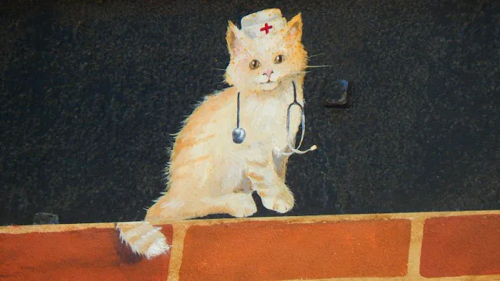 Doc·Side Veterinary Medical Center 2