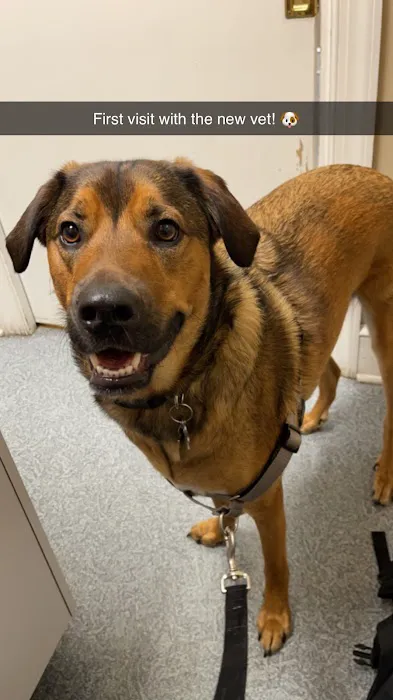 Doc·Side Veterinary Medical Center 4