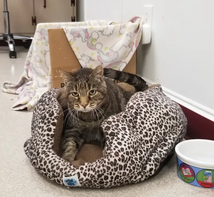 Doc·Side Veterinary Medical Center 8