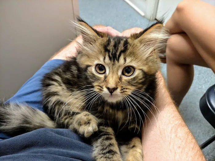 Doc·Side Veterinary Medical Center 10