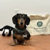 Heart + Paw ico
