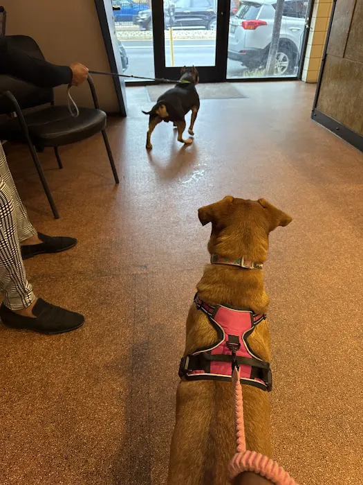 Harbor View Veterinary Hospital 10