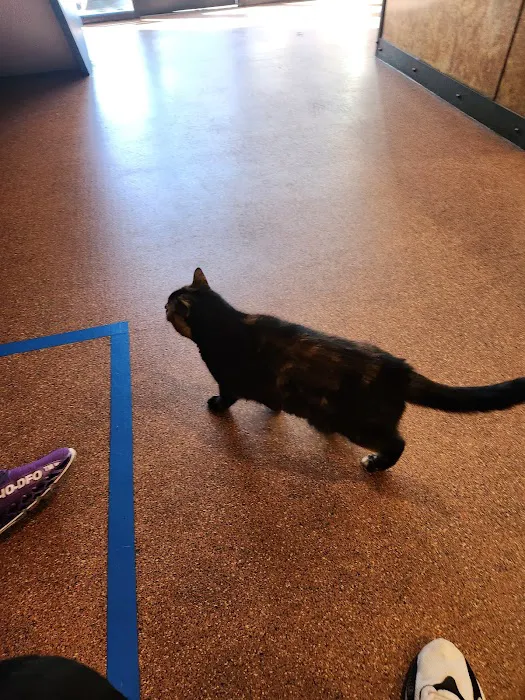 Harbor View Veterinary Hospital 1