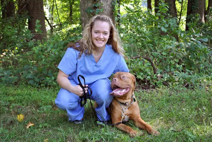 Country Veterinary Hospital 12