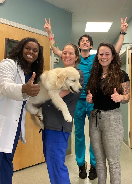 Mount Airy Veterinary Associates, Inc. 1