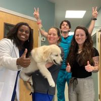 Mount Airy Veterinary Associates, Inc. ico