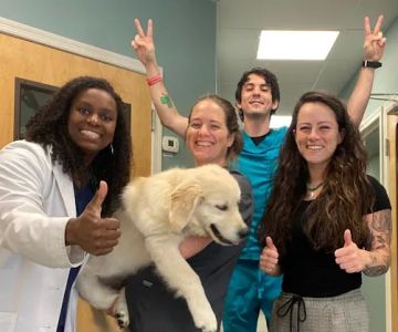 Mount Airy Veterinary Associates, Inc.