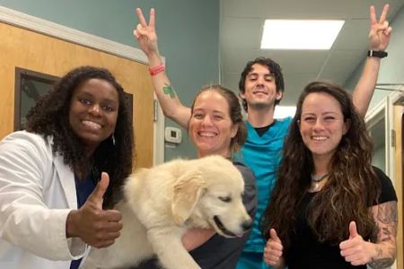Mount Airy Veterinary Associates, Inc.