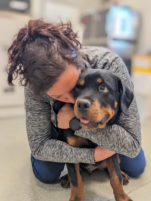 Mount Airy Veterinary Associates, Inc. 2