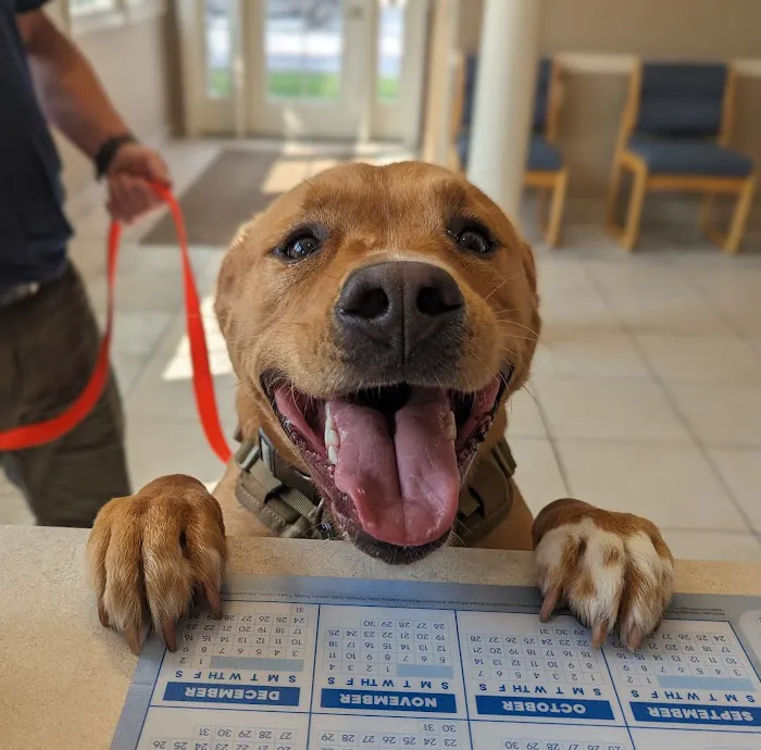 Mount Airy Veterinary Associates, Inc. 7