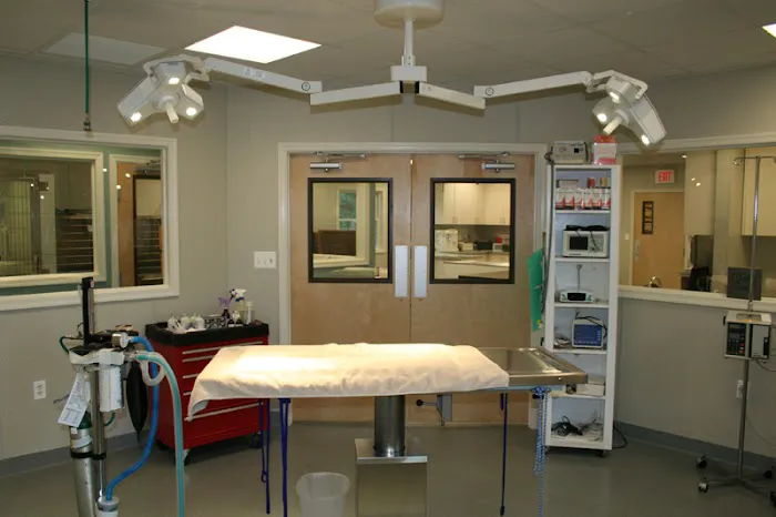 Mount Airy Veterinary Associates, Inc. 4