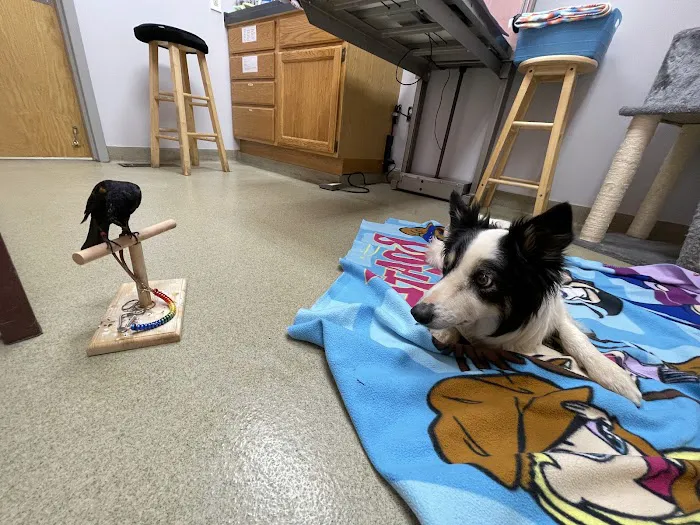Mount Airy Animal Hospital 4