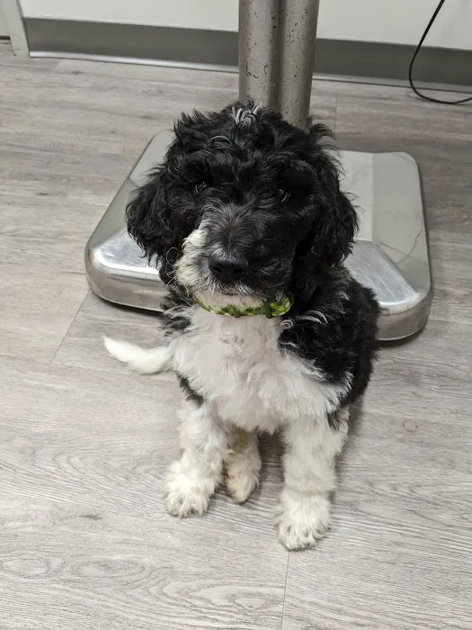Taylorsville Veterinary Clinic 3