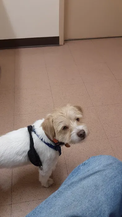 Taylorsville Veterinary Clinic 4