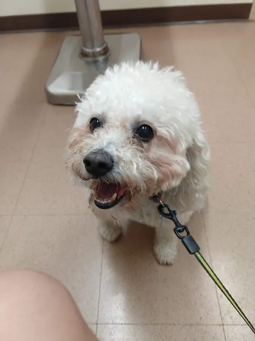 Taylorsville Veterinary Clinic 2