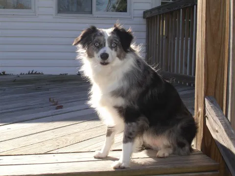 Taylorsville Veterinary Clinic 1