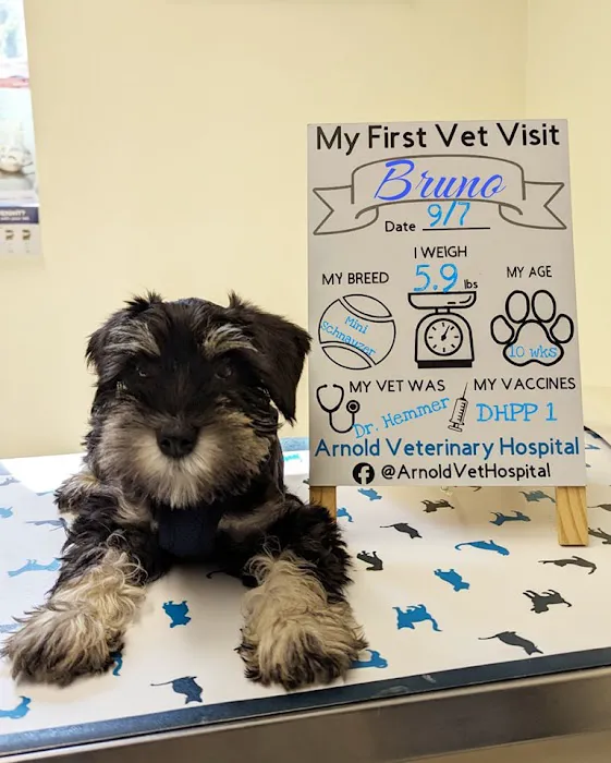 Arnold Veterinary Hospital 8