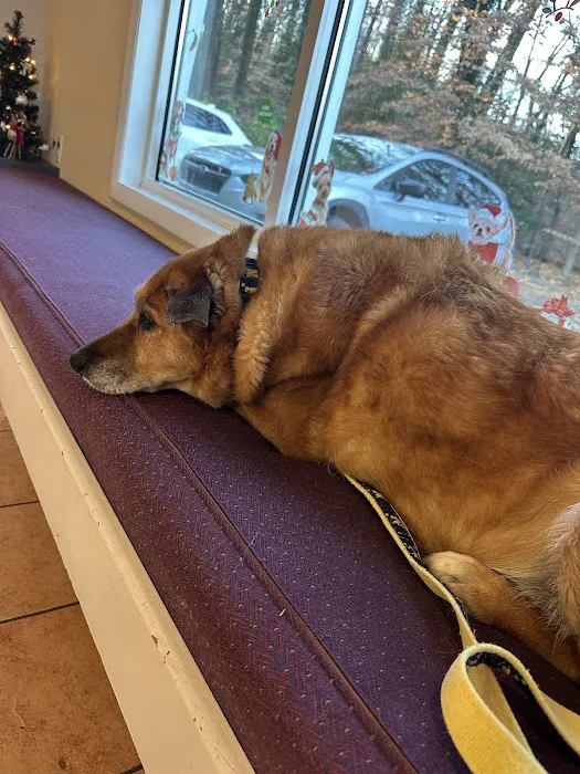 Arnold Veterinary Hospital 5