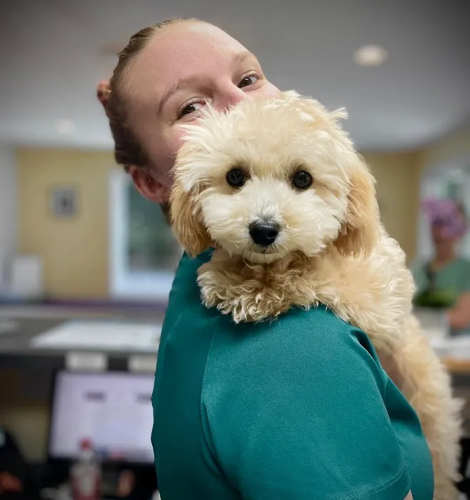 Arnold Veterinary Hospital 9