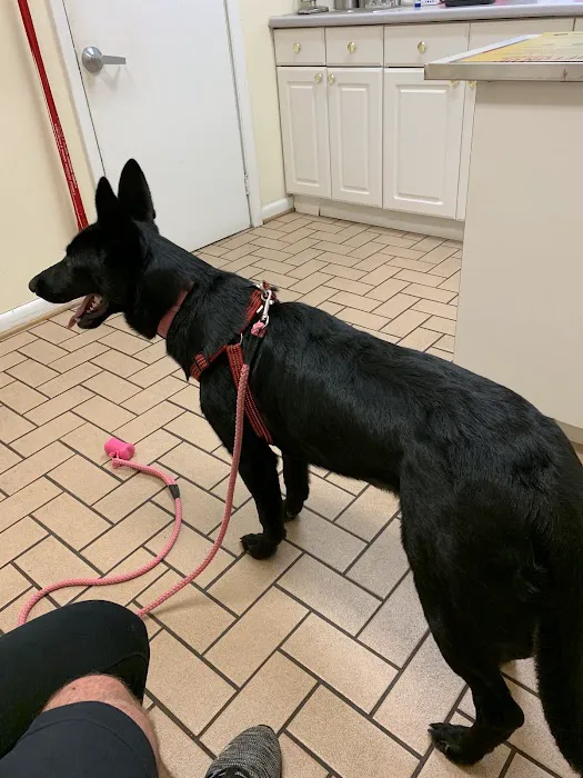 Arnold Veterinary Hospital 2
